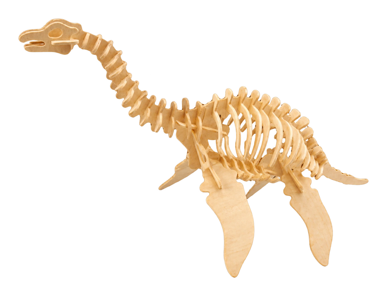 3D drevené puzzle – kostra plesiosaura