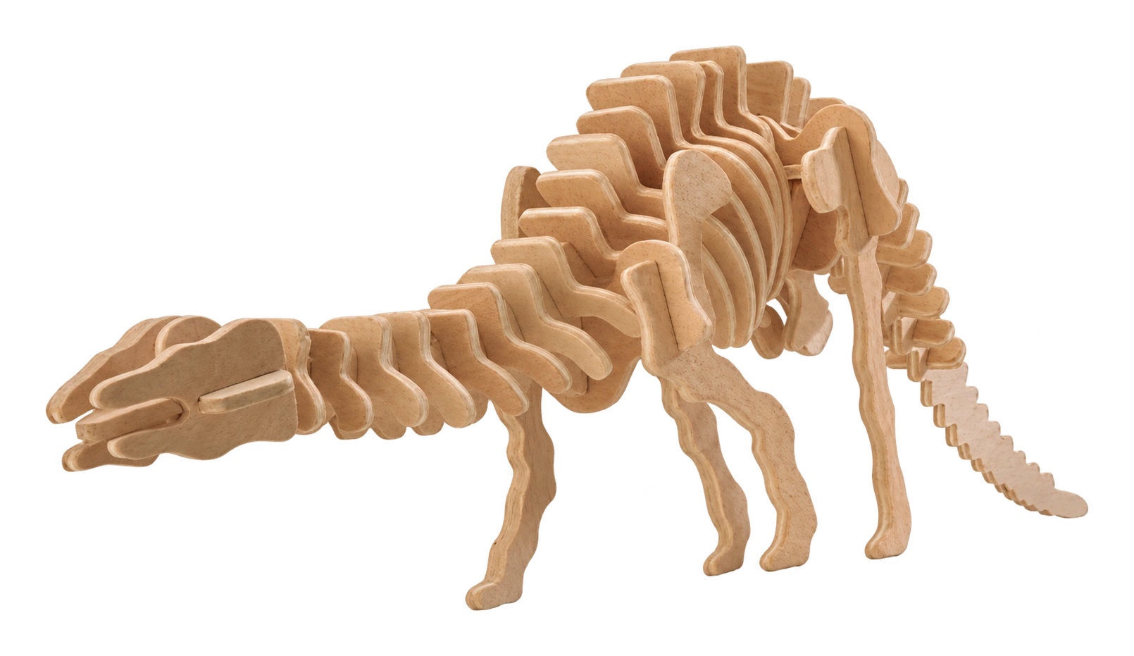 3D drevené puzzle – kostra apatosaura