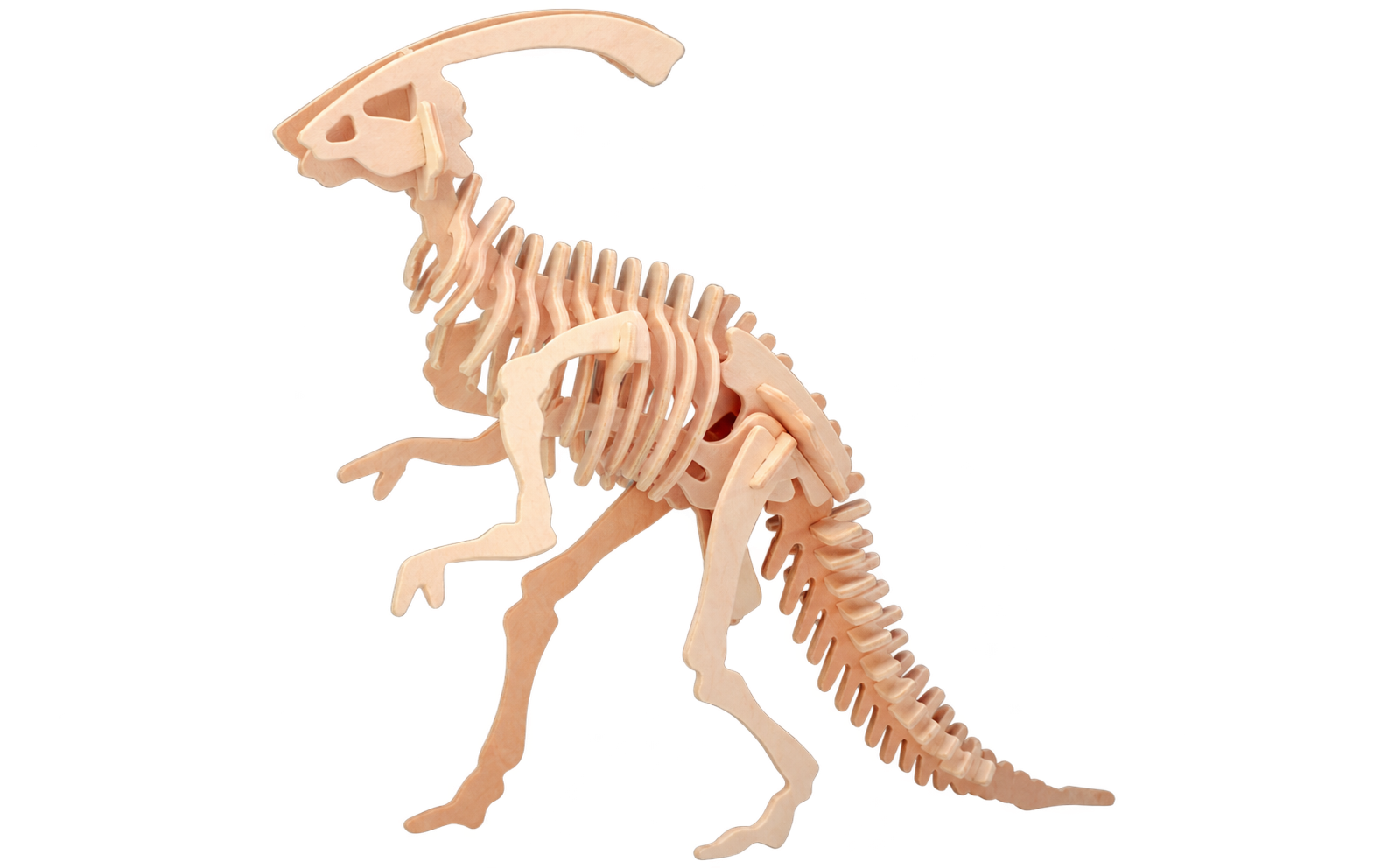 3D dřevěné puzzle - kostra Parasaurolophus