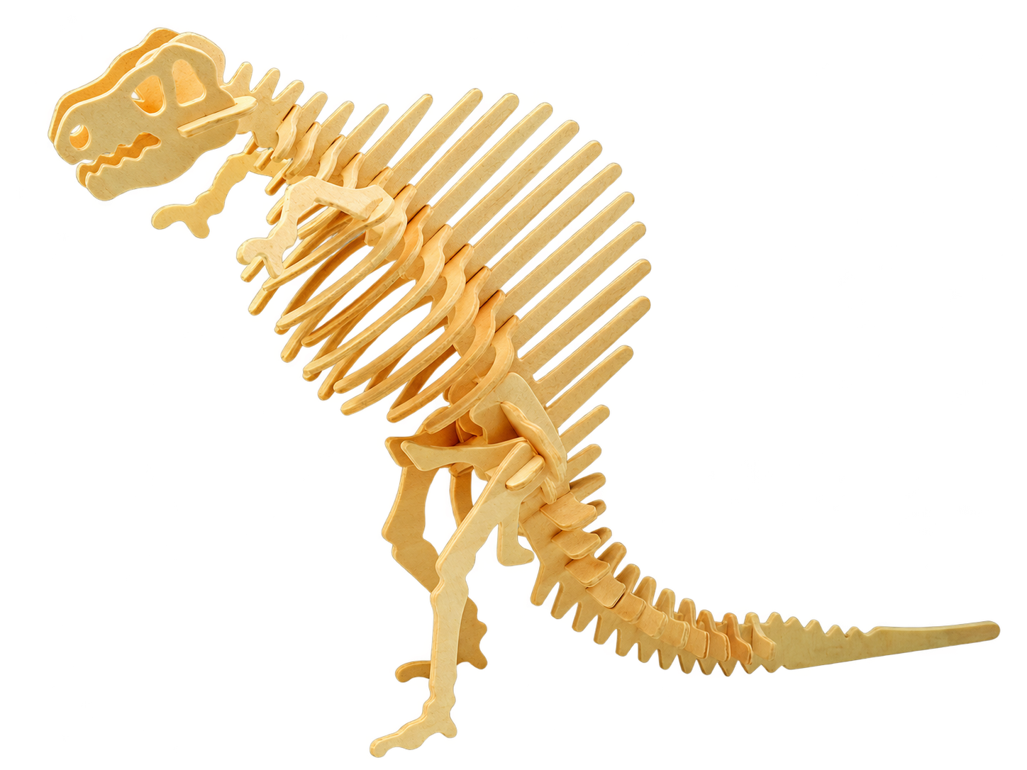 3D dřevěné puzzle - kostra Spinosaurus
