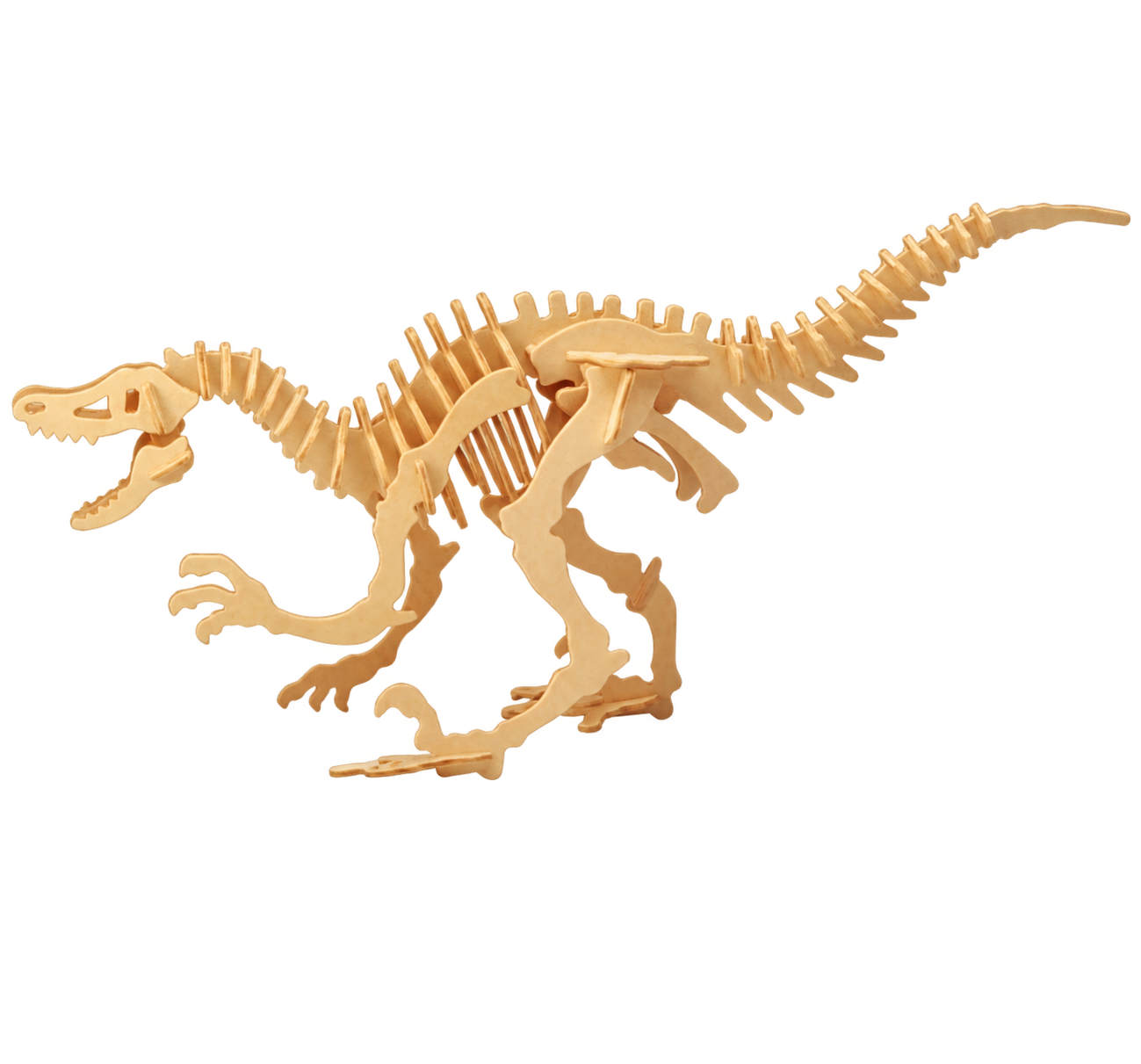 3D dřevěné puzzle - kostra Velociraptor