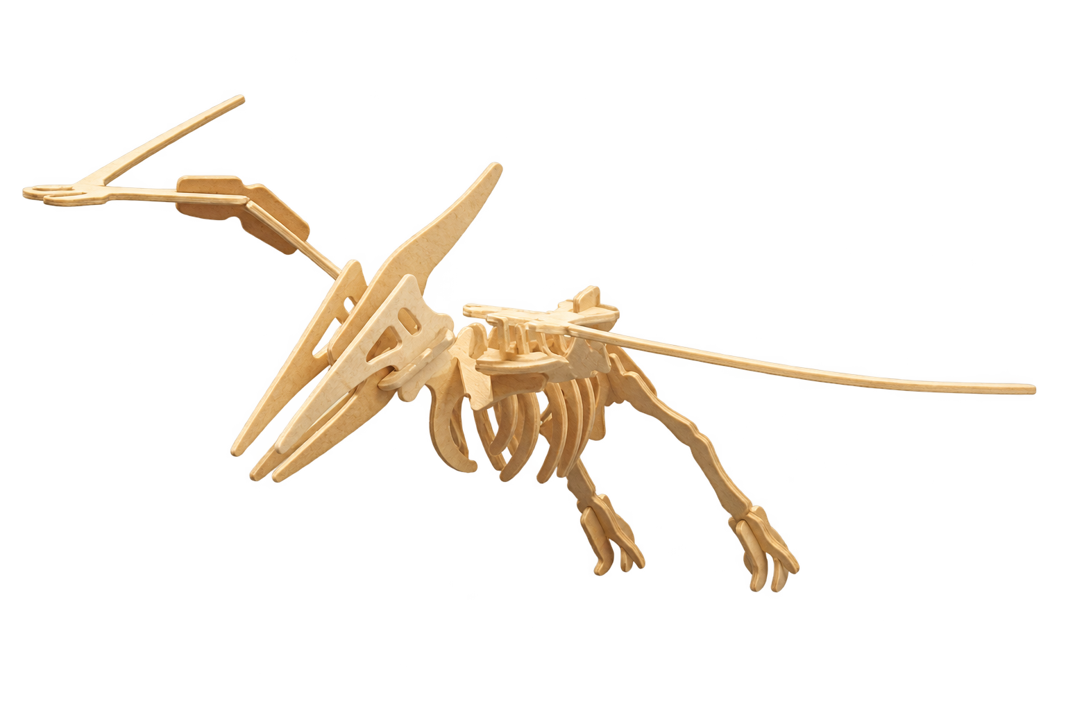 3D drevené puzzle - kostra Pteranodon XXL, 120 cm