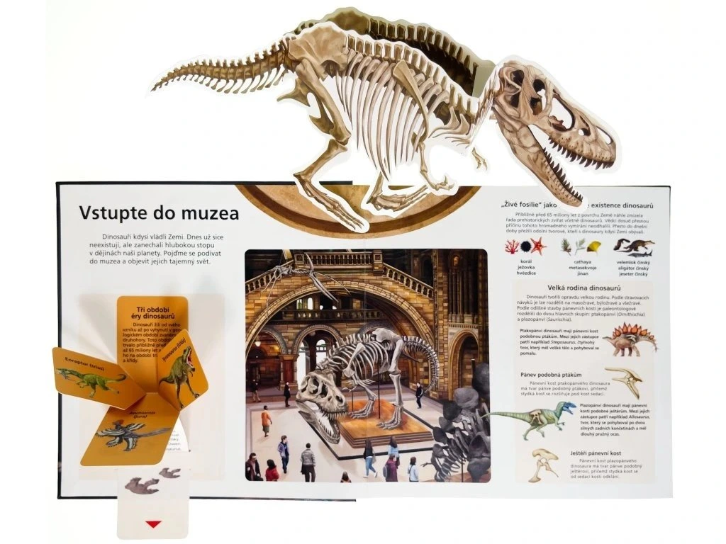 Pop-up encyklopedie - Dinosauři – ukázka produktu