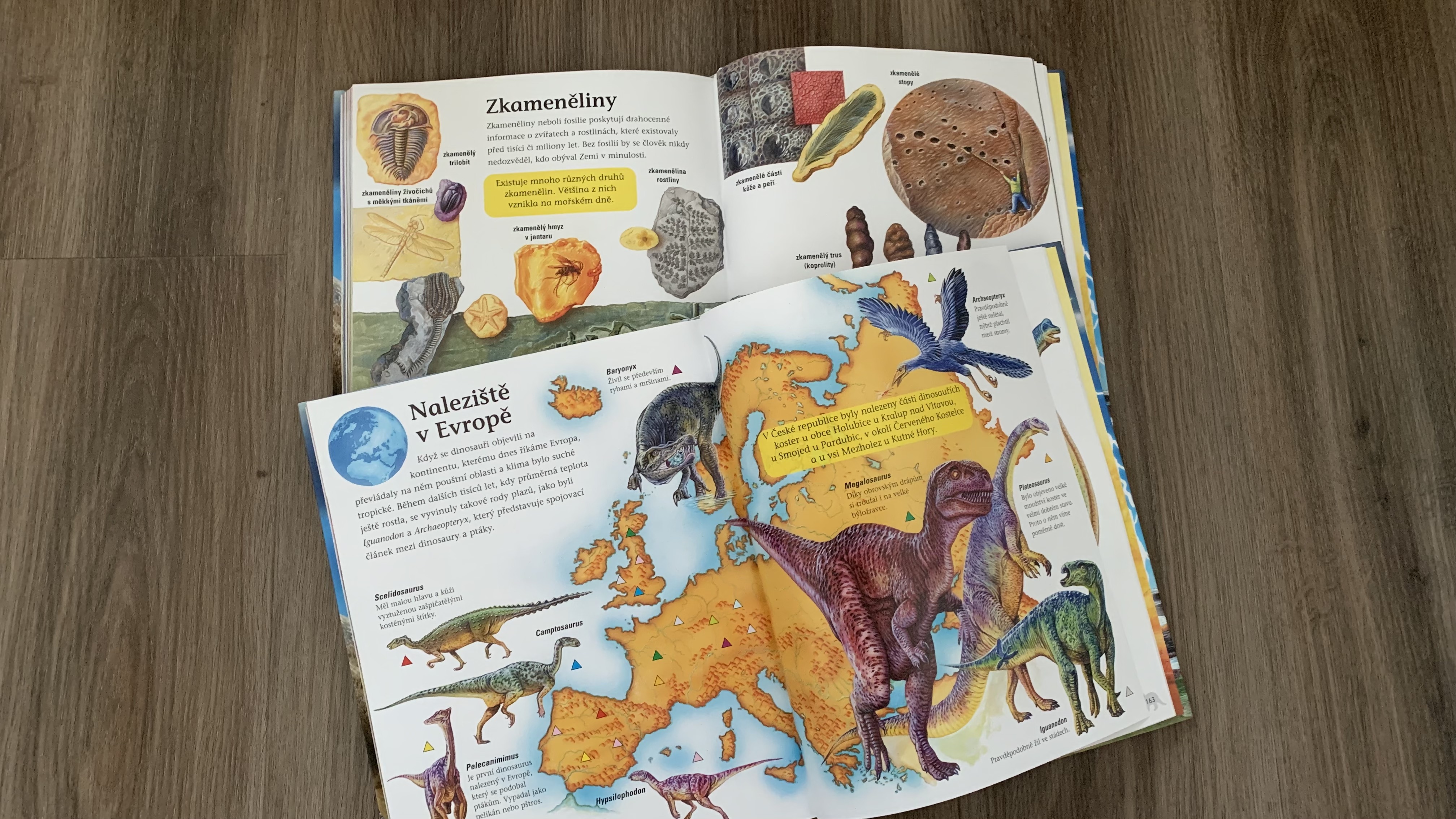 Velká kniha Dinosauři, fotografie 2