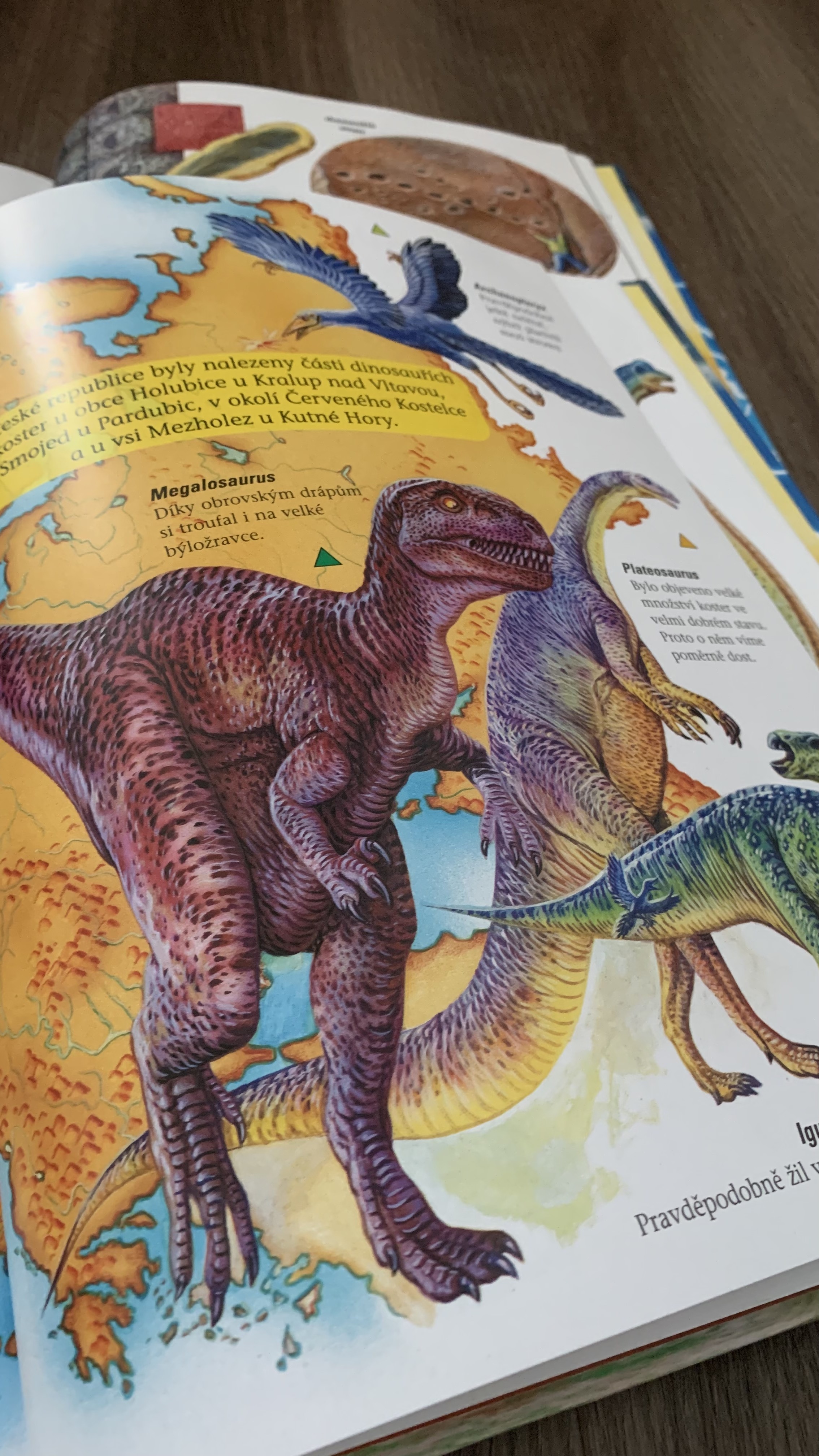 Velká kniha Dinosauři, fotografie 6