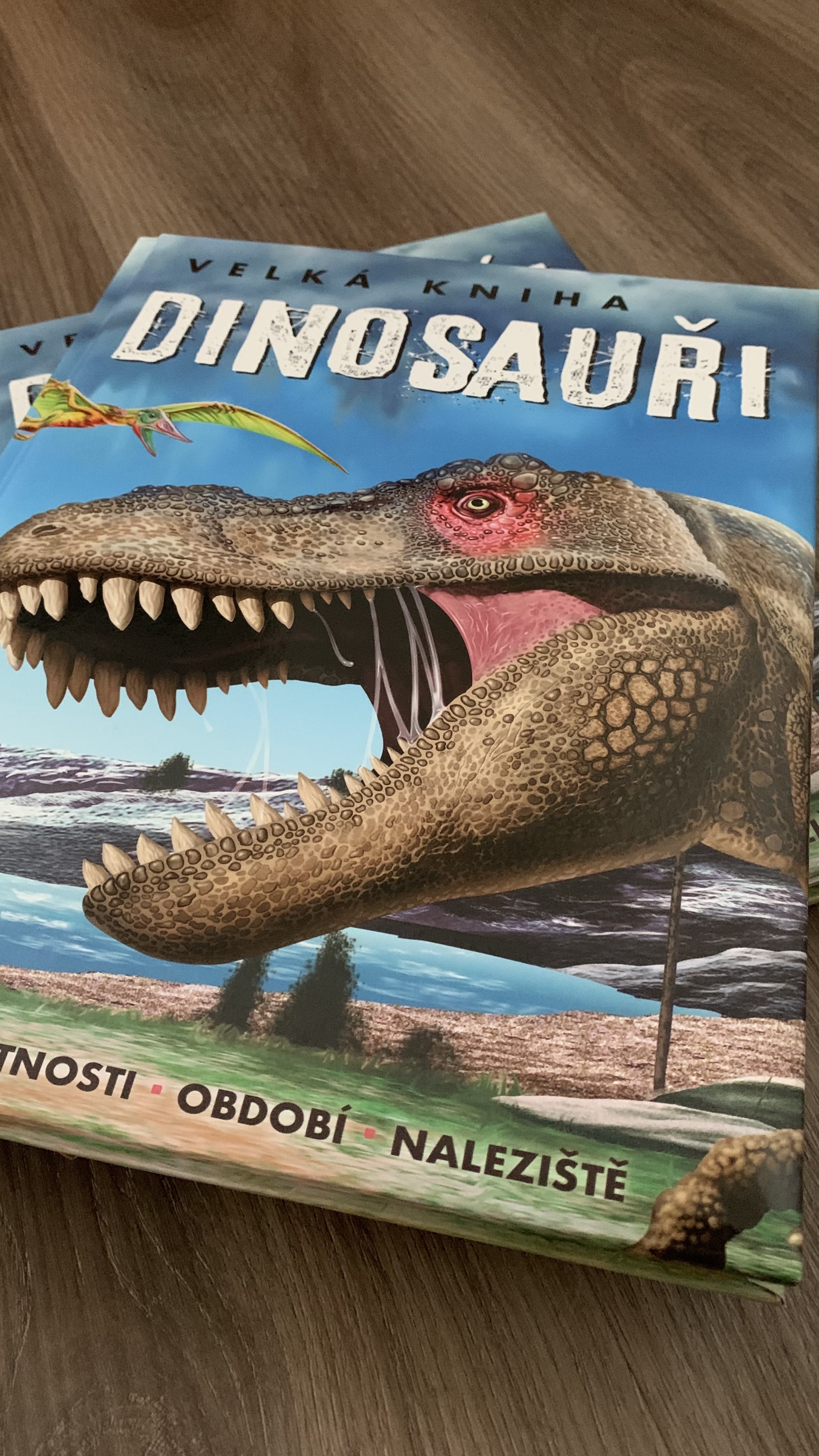 Velká kniha Dinosauři, fotografie 7
