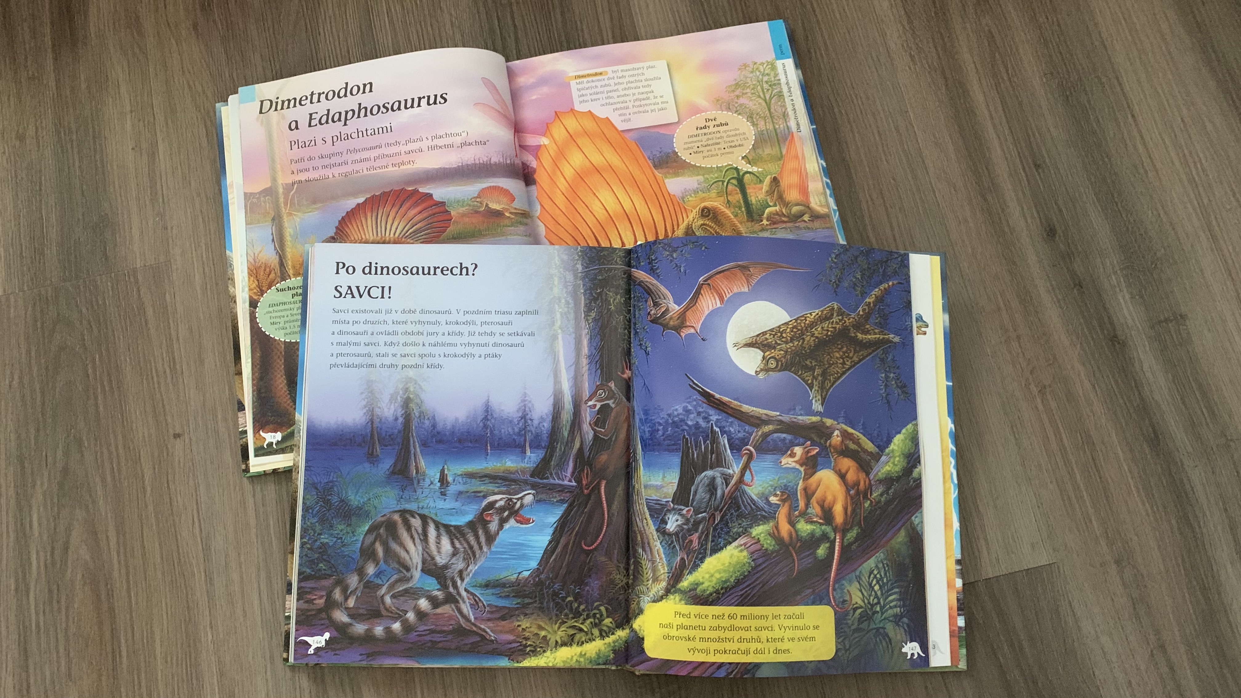 Velká kniha Dinosauři, fotografie 5