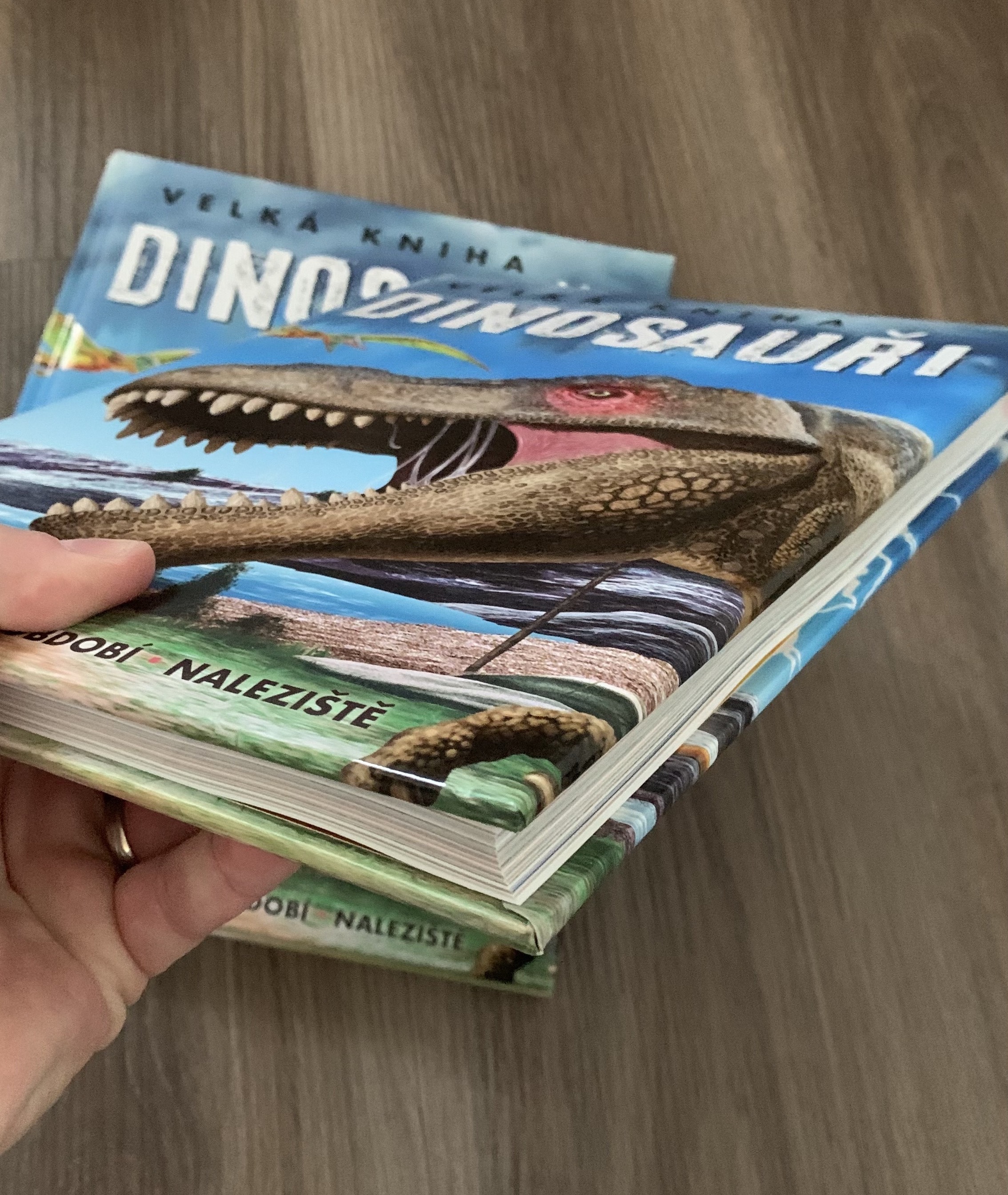 Velká kniha Dinosauři, fotografie 4