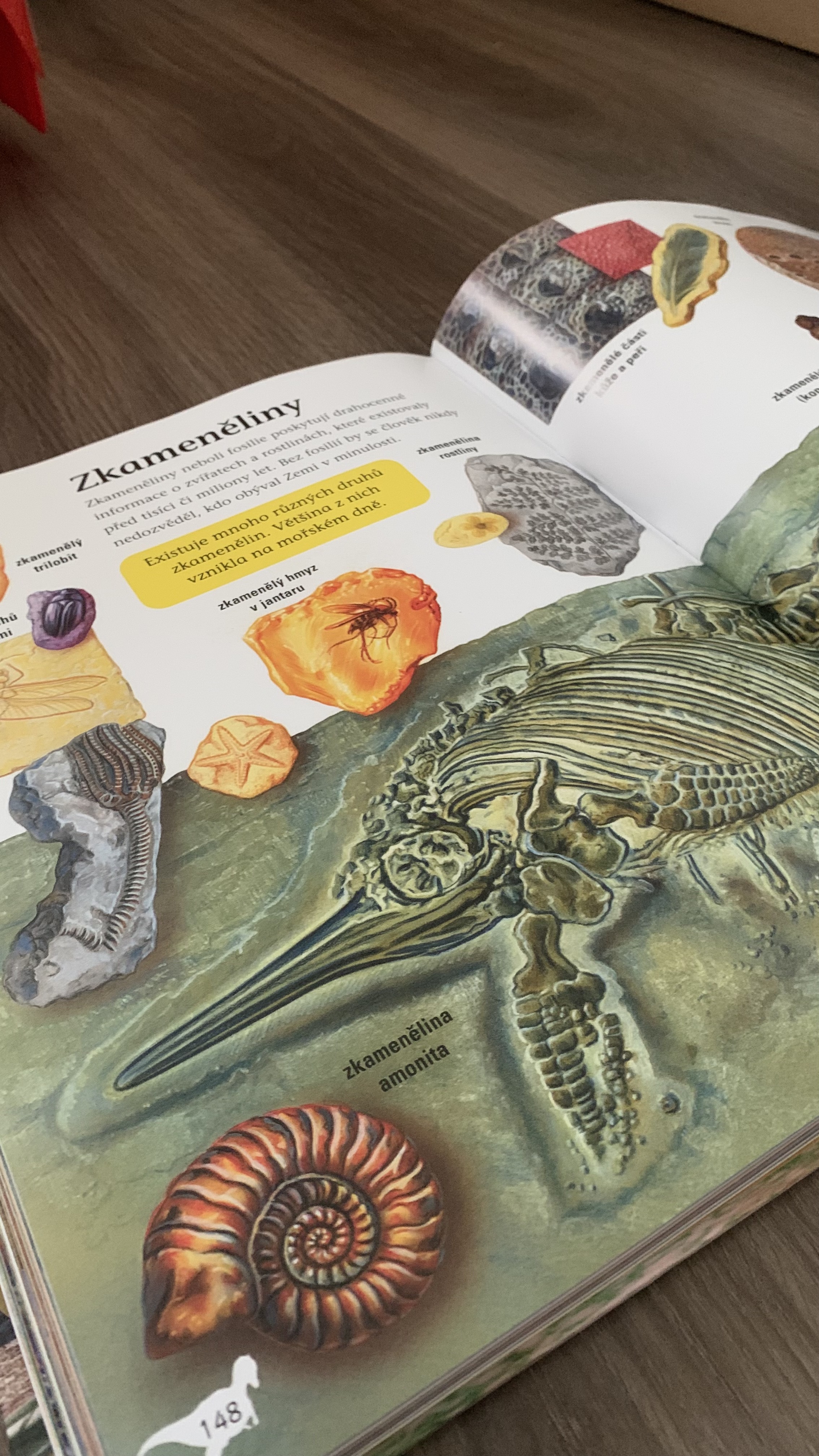 Velká kniha Dinosauři, fotografie 3